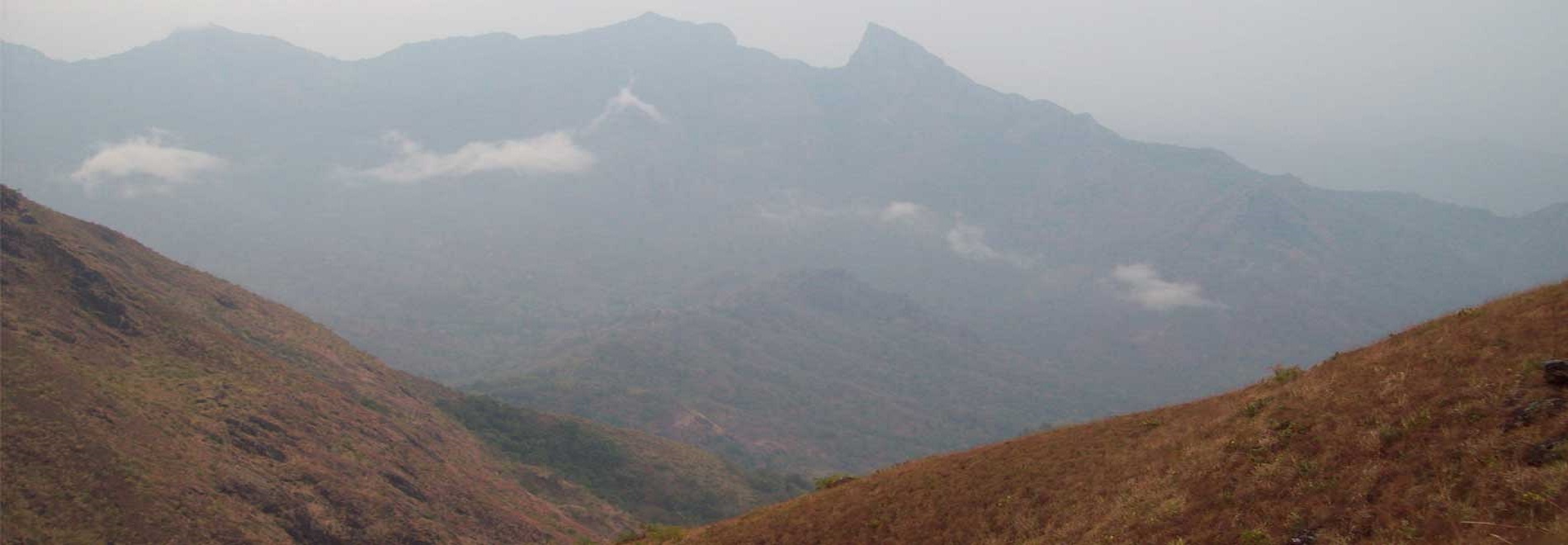 ATTAPADI View