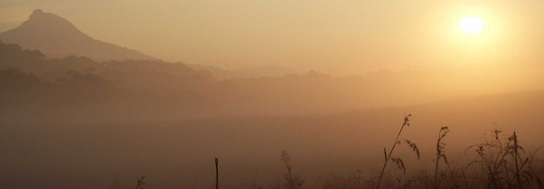 ATTAPADI View